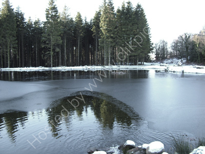 Thin Ice at the Curling Pond